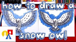 How To Draw A Realistic Snow Owl [upl. by Ledarf683]