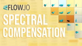 FlowJo Webinar Spectral Compensation 41620 [upl. by Samaj90]