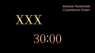 30 Minute Timer  Roman Numerals Countdown XXX Minutes [upl. by Levins]