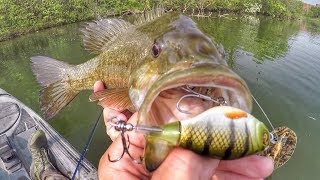 Whopper Ploppin Big Spring Smallies [upl. by Imuya]