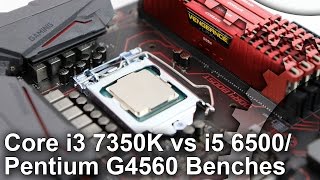 Core i3 7350K vs Pentium G4560 vs Core i5 6500 Gaming Benchmarks [upl. by Assiren]