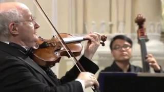 Antonio Vivaldi – Violin Concerto in gminor RV 317 [upl. by Bald]