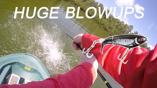 INSANE Whopper Plopper Bass Fishing BLOWUPS [upl. by Razec]