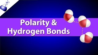 Polar Bonds and Hydrogen Bonds [upl. by Alleinnad]