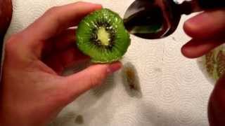 How to properly eat a kiwi fruit [upl. by Queston]