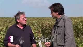 Understanding Loire Valley Sancerre with Alphonse Mellot [upl. by Aerdnak]