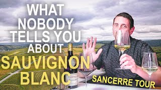 The Origins of Sauvignon Blanc – Inside Sancerre Wine amp the Loire Valley of France [upl. by Narag454]