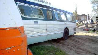 Vintage 1959 GM LAMTASCRTD Transit Bus [upl. by Ventura]