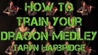 How to Train Your Dragon Medley  Taryn Harbridge [upl. by Kiah522]