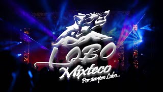 LOBO MIXTECO  LA CUMBIA DEL SUPERIOR LIVE 2020 [upl. by Aronoh]