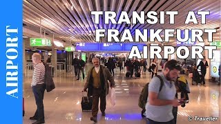 TRANSIT WALK AT FRANKFURT Airport FRA Terminal 1  Connection Flight Transfer Arriving amp Departing [upl. by Nabroc401]