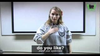 Basic Phrases in Irish Sign Language 01 [upl. by Valdis]