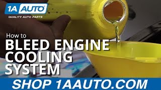 How to Properly Bleed Engine Cooling System by yourself [upl. by Bresee]